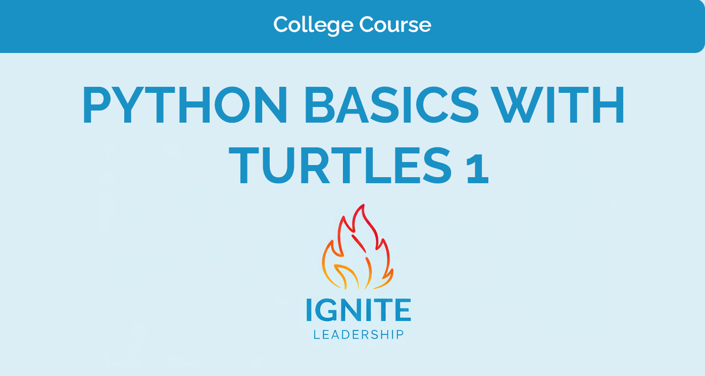 Python Basics with Turtles 1