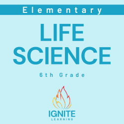 6th Grade Life Science